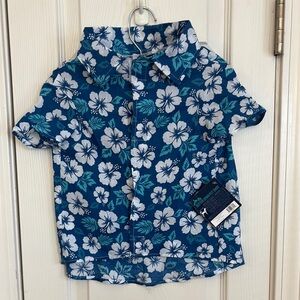 Blue and White Dog Clothing with Floral Pattern